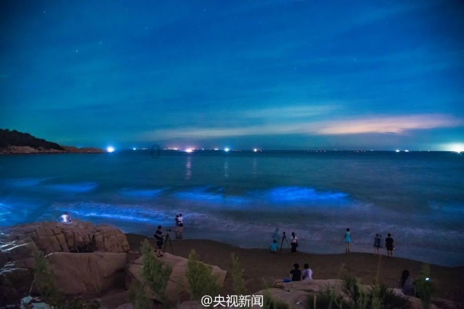 受困的西红柿